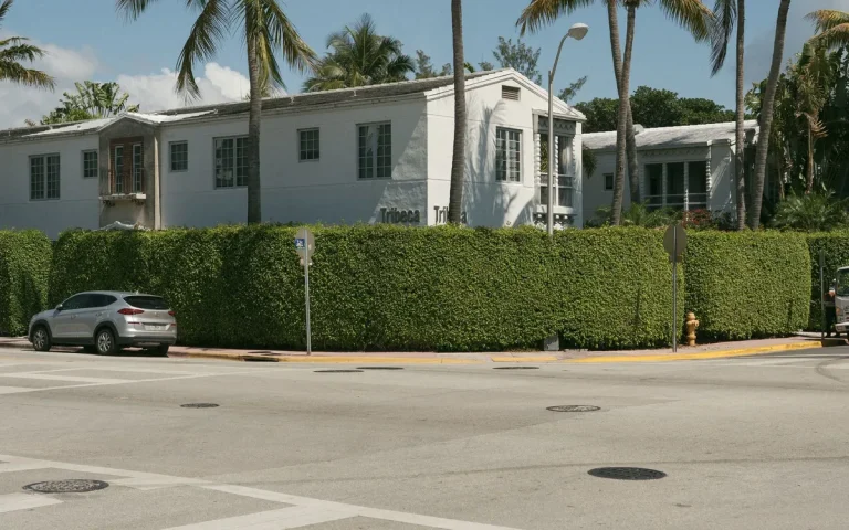 Palm-lined street with older homes, plumber in Miami Springs, FL