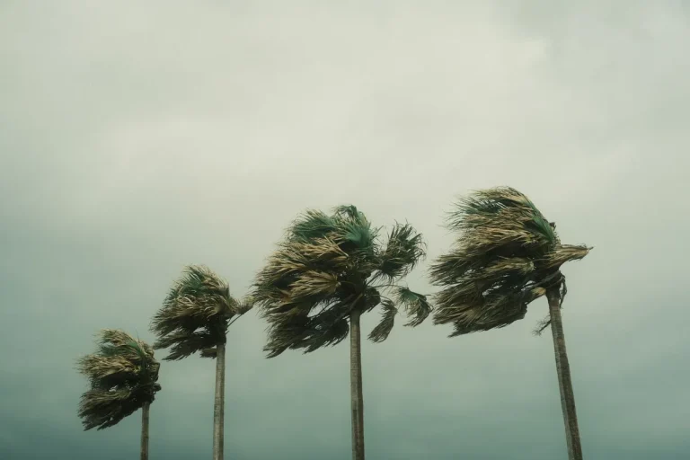 Hurricane Season Plumbing Checklist for Hialeah Homes